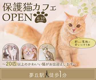 猫カフェのバナー